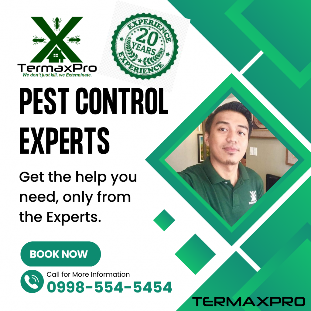 Pest Control Expert in Virac Catanduaanes