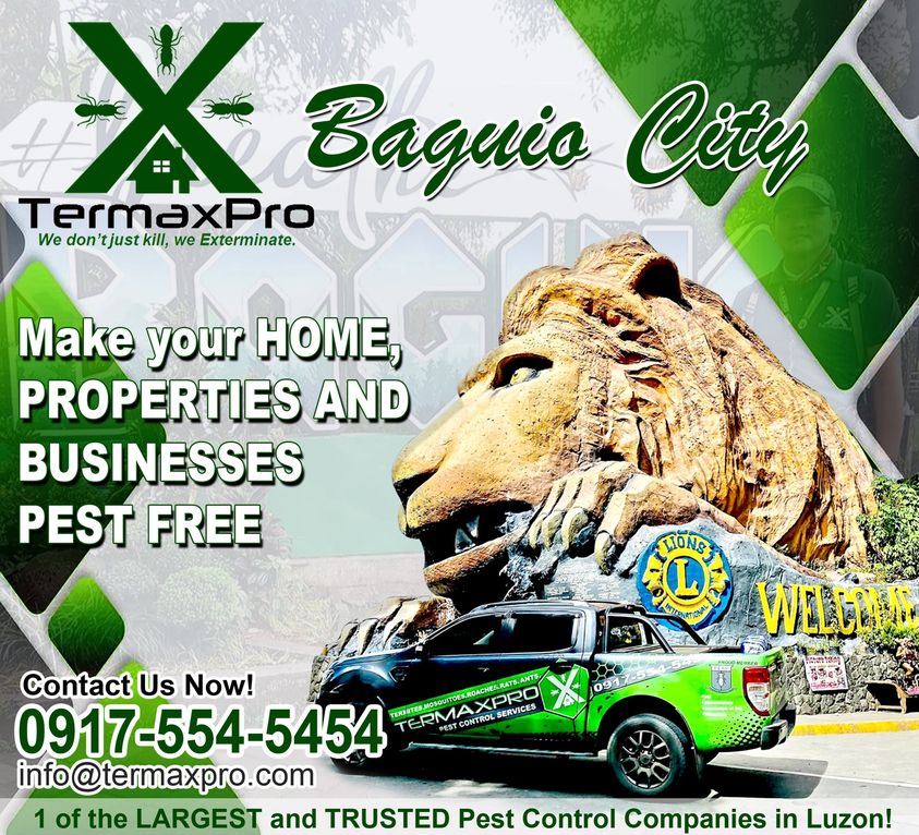 Termite and Pest Control Service Baguio City