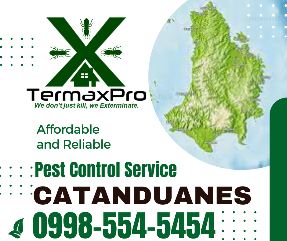Virac Catanduanes Termite Pest Control Services